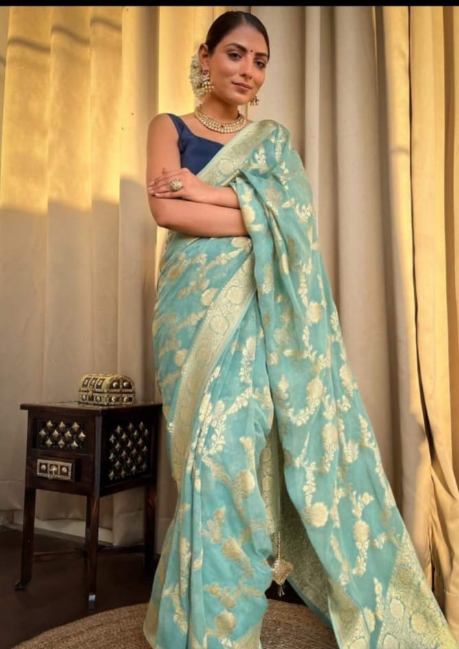 Banarasi Hand Woven Khaddi Georgette Silk Saree