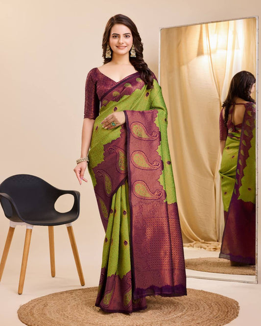 Luxurious Soft Kanchipuram Silk