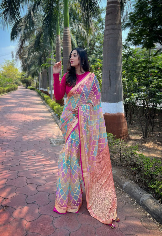 Celebrity Inspired Luxurious Organza Brasso Saree