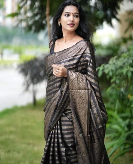 Banarasi Soft Warm Silk Saree