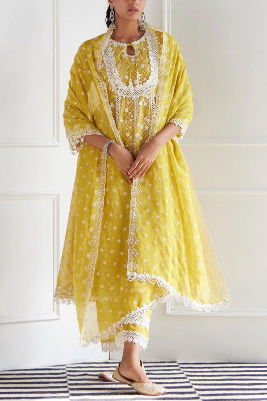 Exquisite 3-piece Yellow Anarkali Gown Set